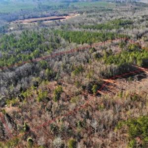 Photo of UNDER CONTRACT!!  7.94 acres of Hunting and Residential Land for Sale in Brunswick County VA!