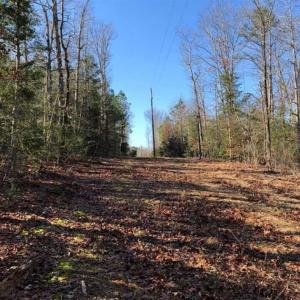 Photo of UNDER CONTRACT!!  7.94 acres of Hunting and Residential Land for Sale in Brunswick County VA!