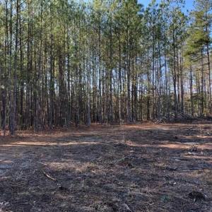 Photo of UNDER CONTRACT!!  7.94 acres of Hunting and Residential Land for Sale in Brunswick County VA!