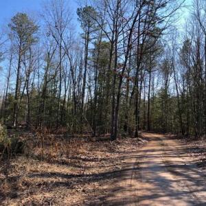 Photo of UNDER CONTRACT!!  7.94 acres of Hunting and Residential Land for Sale in Brunswick County VA!