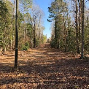 Photo of UNDER CONTRACT!!  7.94 acres of Hunting and Residential Land for Sale in Brunswick County VA!