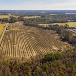 Photo of UNDER CONTRACT!!  53.33 acres of Farm for Sale in Sampson County NC!