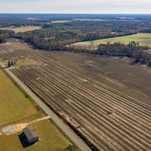 Photo of UNDER CONTRACT!!  53.33 acres of Farm for Sale in Sampson County NC!