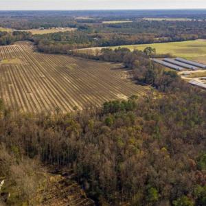 Photo of UNDER CONTRACT!!  53.33 acres of Farm for Sale in Sampson County NC!