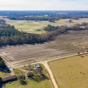 Photo of UNDER CONTRACT!!  53.33 acres of Farm for Sale in Sampson County NC!