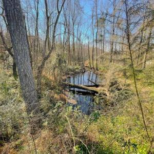 Photo of UNDER CONTRACT!!  53.33 acres of Farm for Sale in Sampson County NC!