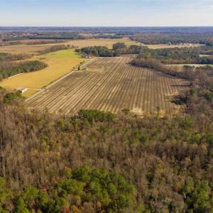 Photo of UNDER CONTRACT!!  53.33 acres of Farm for Sale in Sampson County NC!