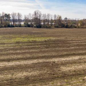 Photo of UNDER CONTRACT!!  53.33 acres of Farm for Sale in Sampson County NC!