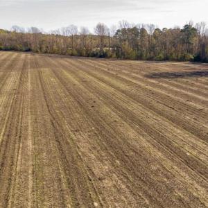 Photo of UNDER CONTRACT!!  53.33 acres of Farm for Sale in Sampson County NC!