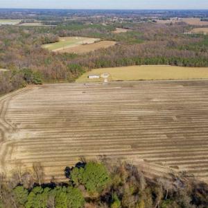 Photo of UNDER CONTRACT!!  53.33 acres of Farm for Sale in Sampson County NC!