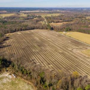 Photo of UNDER CONTRACT!!  53.33 acres of Farm for Sale in Sampson County NC!