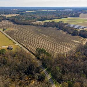 Photo of UNDER CONTRACT!!  53.33 acres of Farm for Sale in Sampson County NC!