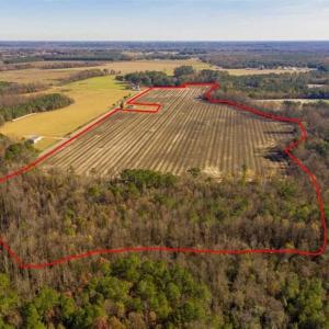 Photo of UNDER CONTRACT!!  53.33 acres of Farm for Sale in Sampson County NC!