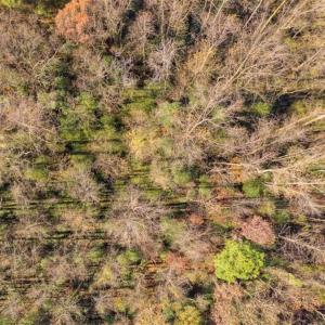 Photo of UNDER CONTRACT!!  53.33 acres of Farm for Sale in Sampson County NC!