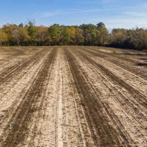 Photo of UNDER CONTRACT!!  53.33 acres of Farm for Sale in Sampson County NC!