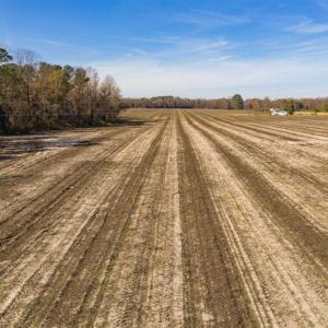 Photo of UNDER CONTRACT!!  53.33 acres of Farm for Sale in Sampson County NC!