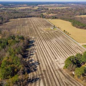 Photo of UNDER CONTRACT!!  53.33 acres of Farm for Sale in Sampson County NC!