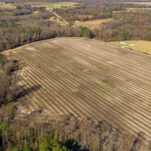 Photo of UNDER CONTRACT!!  53.33 acres of Farm for Sale in Sampson County NC!
