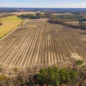 Photo of UNDER CONTRACT!!  53.33 acres of Farm for Sale in Sampson County NC!