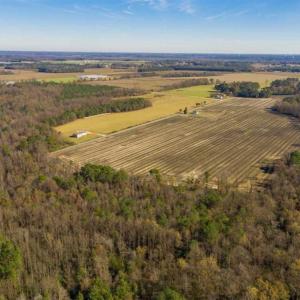 Photo of UNDER CONTRACT!!  53.33 acres of Farm for Sale in Sampson County NC!