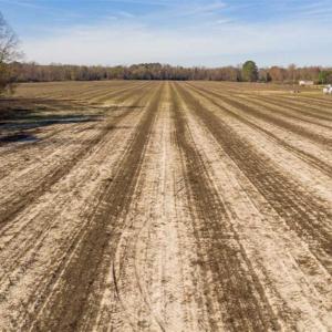Photo of UNDER CONTRACT!!  53.33 acres of Farm for Sale in Sampson County NC!