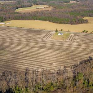 Photo of UNDER CONTRACT!!  53.33 acres of Farm for Sale in Sampson County NC!