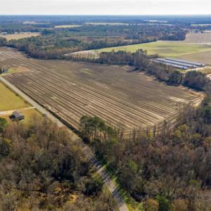 Photo of UNDER CONTRACT!!  53.33 acres of Farm for Sale in Sampson County NC!