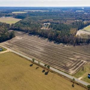 Photo of UNDER CONTRACT!!  53.33 acres of Farm for Sale in Sampson County NC!