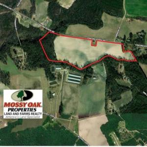 Photo of UNDER CONTRACT!!  53.33 acres of Farm for Sale in Sampson County NC!