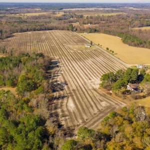 Photo of UNDER CONTRACT!!  53.33 acres of Farm for Sale in Sampson County NC!