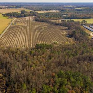 Photo of UNDER CONTRACT!!  53.33 acres of Farm for Sale in Sampson County NC!