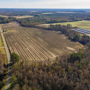 Photo of UNDER CONTRACT!!  53.33 acres of Farm for Sale in Sampson County NC!