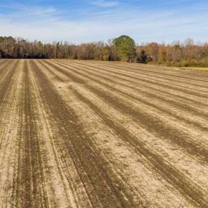 Photo of UNDER CONTRACT!!  53.33 acres of Farm for Sale in Sampson County NC!