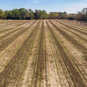 Photo of UNDER CONTRACT!!  53.33 acres of Farm for Sale in Sampson County NC!