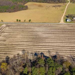 Photo of UNDER CONTRACT!!  53.33 acres of Farm for Sale in Sampson County NC!