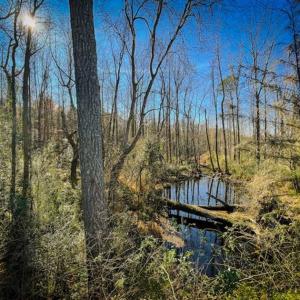 Photo of UNDER CONTRACT!!  53.33 acres of Farm for Sale in Sampson County NC!