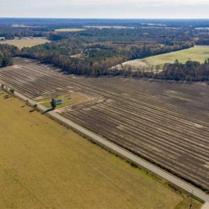 Photo of UNDER CONTRACT!!  53.33 acres of Farm for Sale in Sampson County NC!