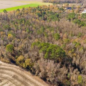 Photo of UNDER CONTRACT!!  53.33 acres of Farm for Sale in Sampson County NC!