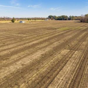 Photo of UNDER CONTRACT!!  53.33 acres of Farm for Sale in Sampson County NC!