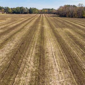 Photo of UNDER CONTRACT!!  53.33 acres of Farm for Sale in Sampson County NC!