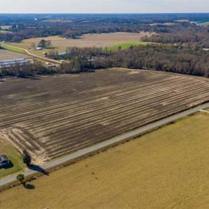 Photo of UNDER CONTRACT!!  53.33 acres of Farm for Sale in Sampson County NC!