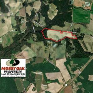 Photo of UNDER CONTRACT!!  53.33 acres of Farm for Sale in Sampson County NC!
