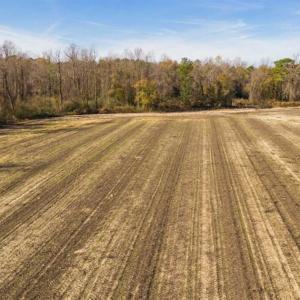 Photo of UNDER CONTRACT!!  53.33 acres of Farm for Sale in Sampson County NC!