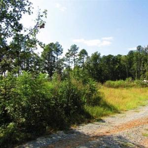 Photo of 0.48 Acres of Residential Waterfront Land For Sale in Northampton County NC!
