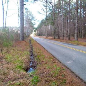Photo of 21 Acres of Tall Timber in the Countryside of Mathews County Virginia!