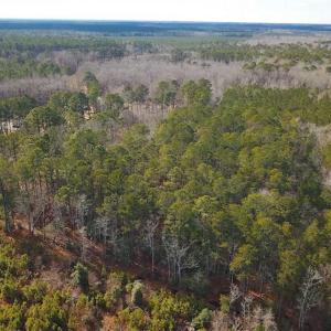 Photo of 21 Acres of Tall Timber in the Countryside of Mathews County Virginia!