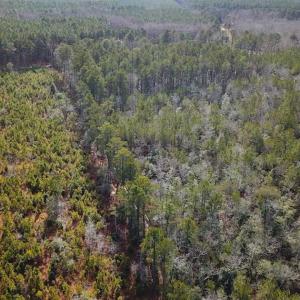 Photo of 21 Acres of Tall Timber in the Countryside of Mathews County Virginia!