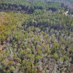 Photo of 21 Acres of Tall Timber in the Countryside of Mathews County Virginia!