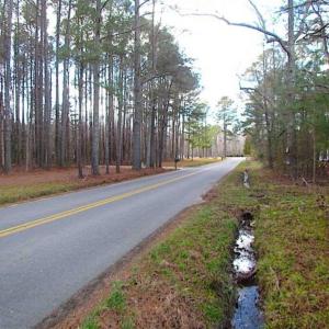 Photo of 21 Acres of Tall Timber in the Countryside of Mathews County Virginia!