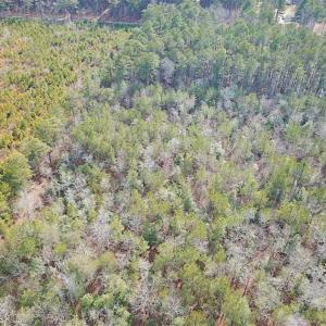Photo of 21 Acres of Tall Timber in the Countryside of Mathews County Virginia!